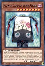 Dragons of Legend: The Complete Series #DLCS-EN128 Flower Cardian Zebra Grass