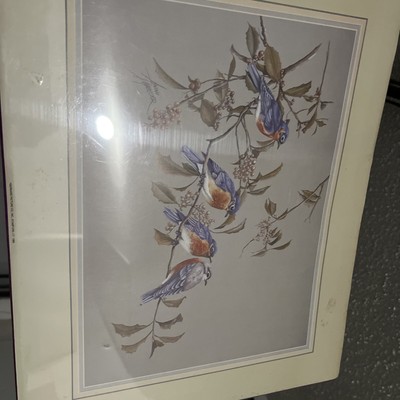 Vintage Anni Moller Print Framed Matted Blue Jays on a Branch Large