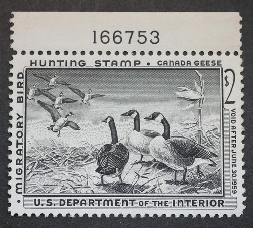 RW25 Bund Entenjagd Briefmarke mit Block #, postfrisch, OG, 1958 Briefmarken Sammlerstücke
