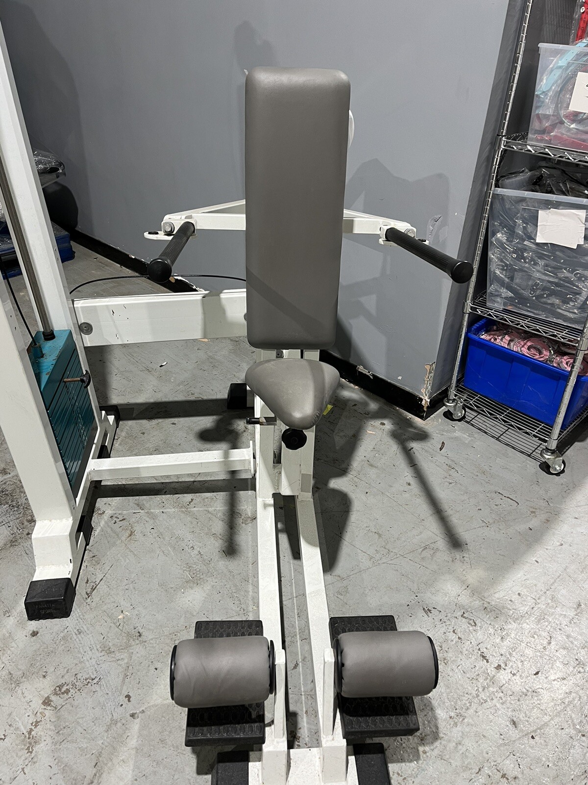 Panatta Triceps Dip Machine eBay