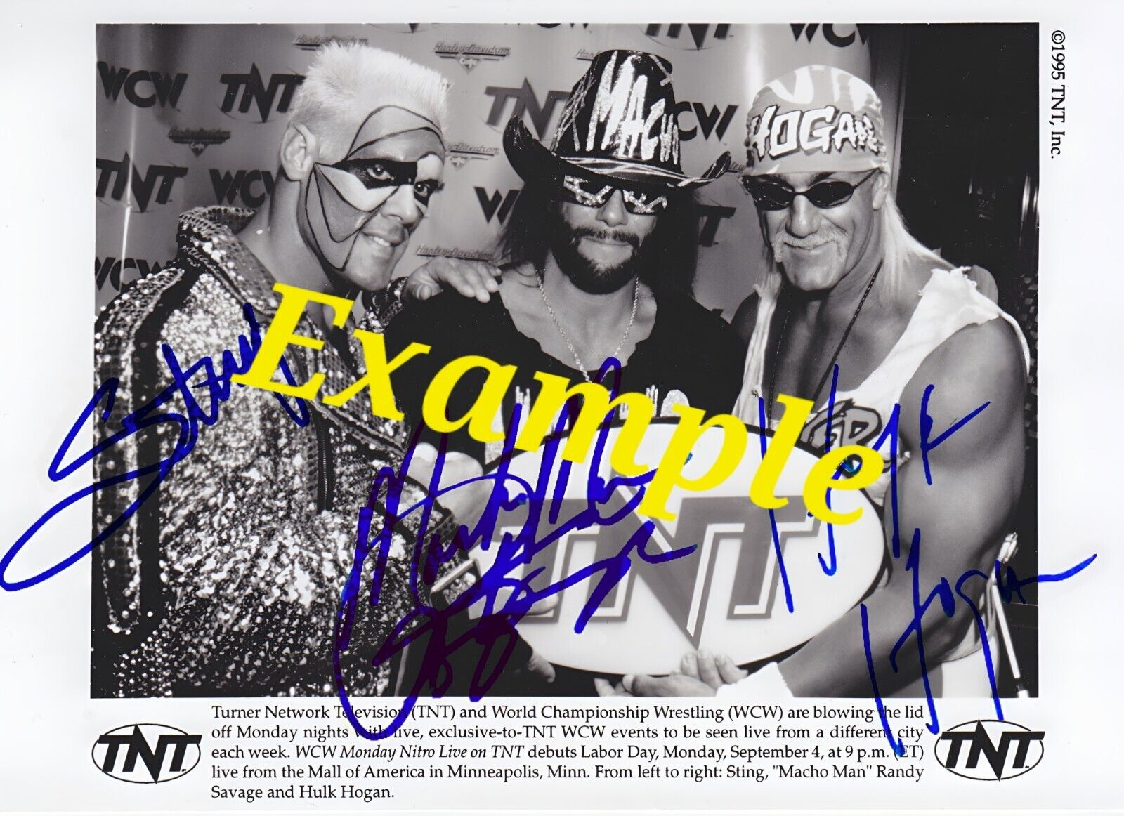 Sting, Hulk Hogan, Macho Man Randy Savage autograph Signed 8x10 RP