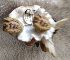 CUTE FEMALE TEDDY ANGEL ORNAMENT - — photo 3