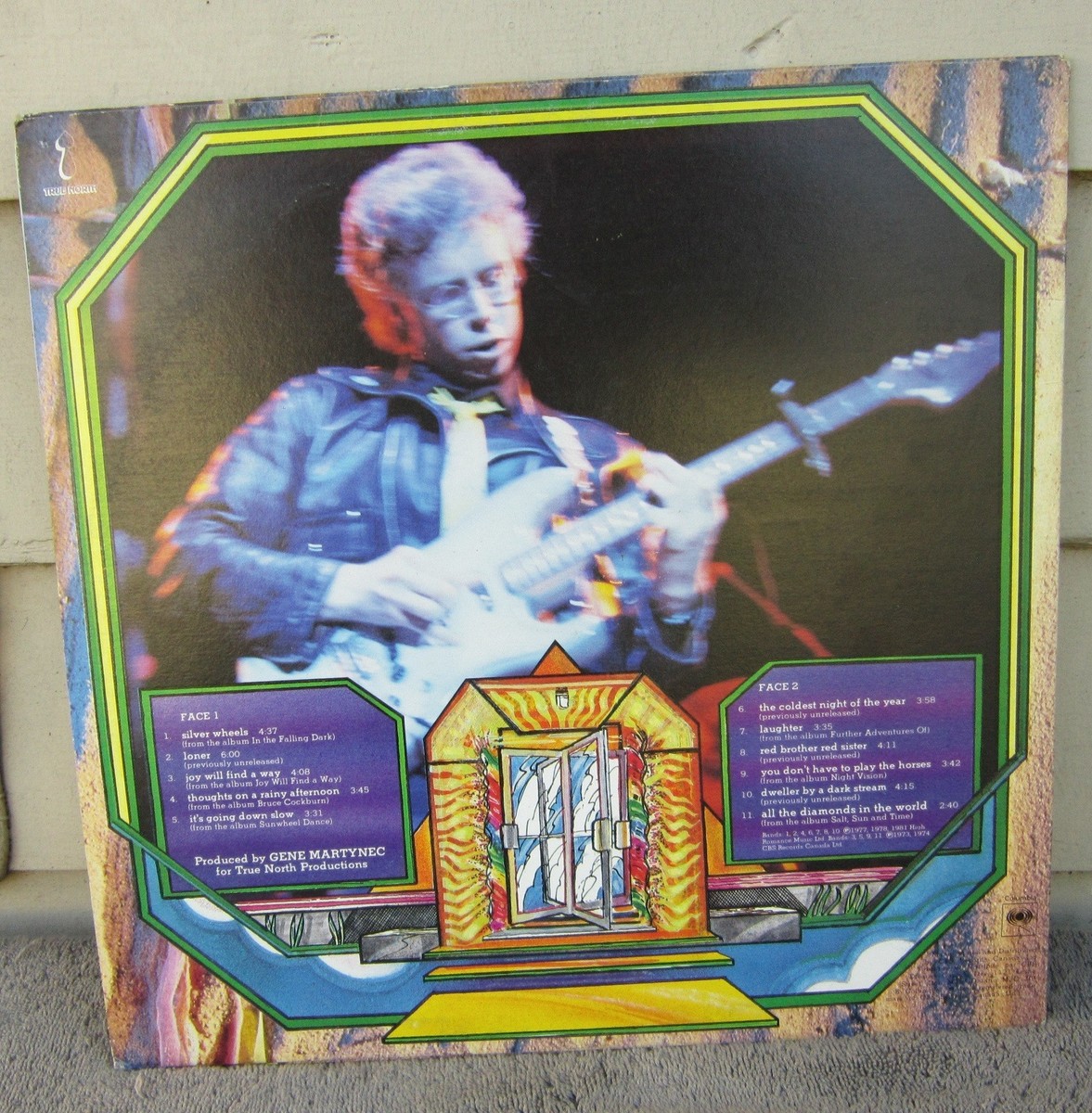 BRUCE COCKBURN - MUMMY DUST 1981 LP True North TN-45 Canada NEAR