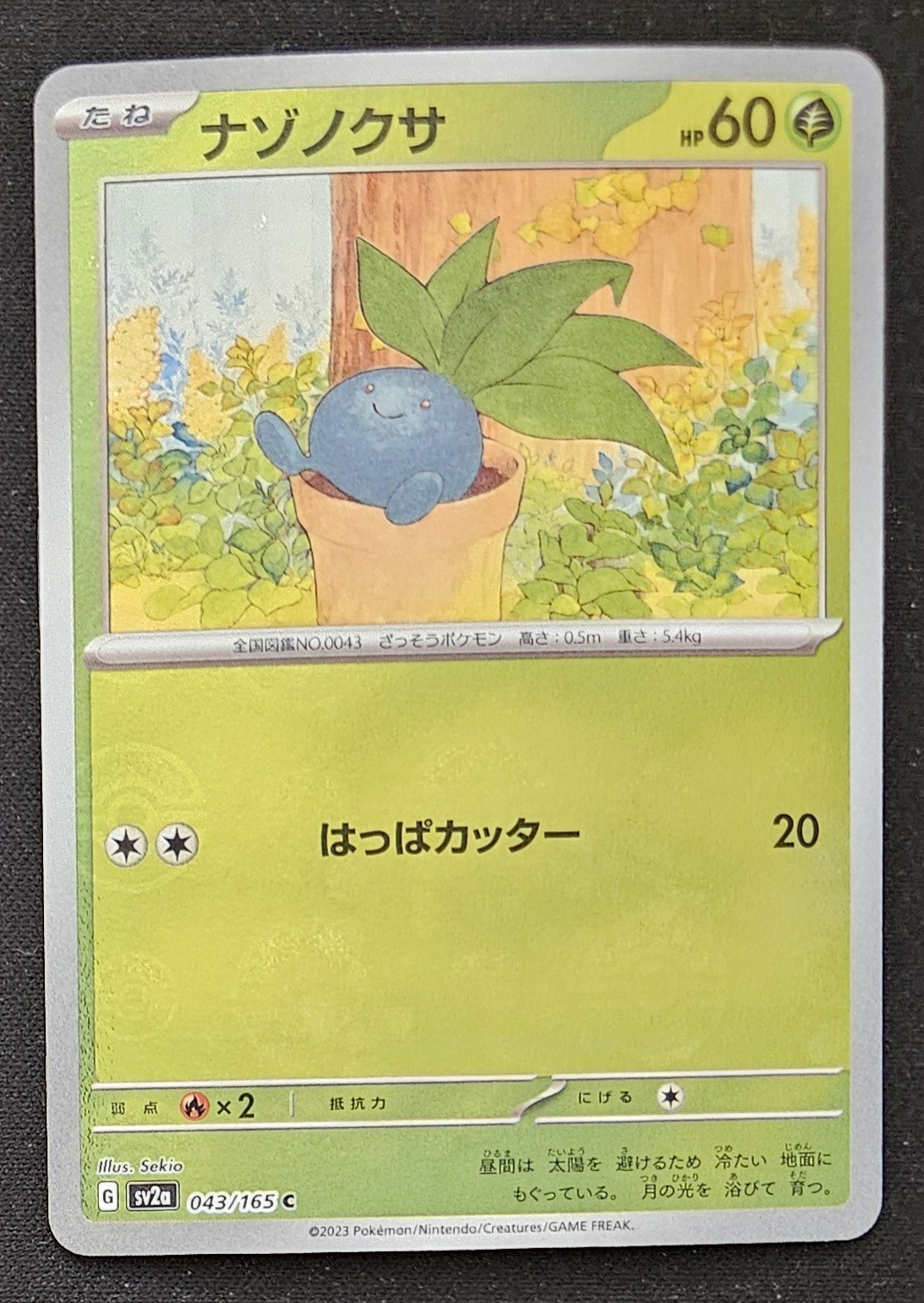Japanese Oddish 043/165 sv2a 151 Poké Ball Reverse Holo Pokémon TCG 2023 NM