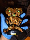 Lucite Petrified Wood Owl Wall Decor 6" Vintage — photo 1