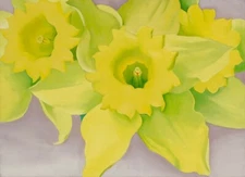 GEORGIA O'KEEFE Poster or Canvas Print "JONQUILS I" Narcissus Flowers Painting