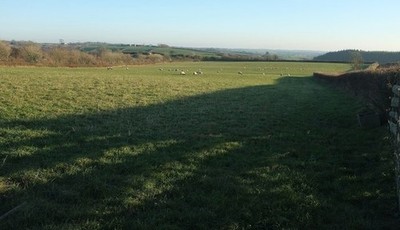 Photo 12x8 Sheep pasture, Cranford Dodscott Looking between the two images c2016