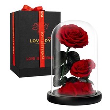 Eternal Flower in a Glass Dome: Preserved Rose - The Perfect Forever Infinity