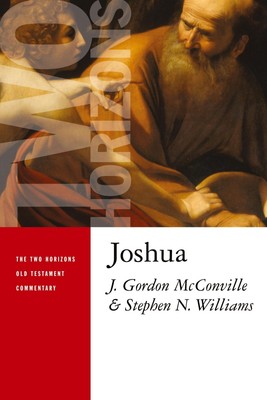 Joshua Gordon Mcconville (u. a.) Taschenbuch Kartoniert / Broschiert Englisch