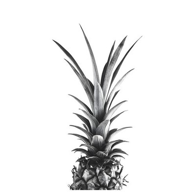 Black and White Pineapple Minimalist Poster | Chic Wall Art | Kitchen Decor