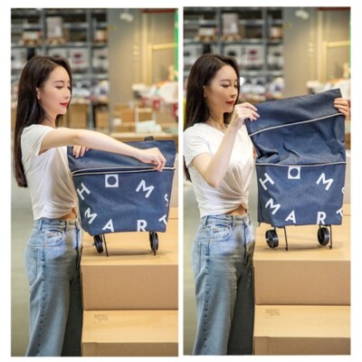 Fabric Shopping Bag on with Foldable Designs for Convenient Carrying