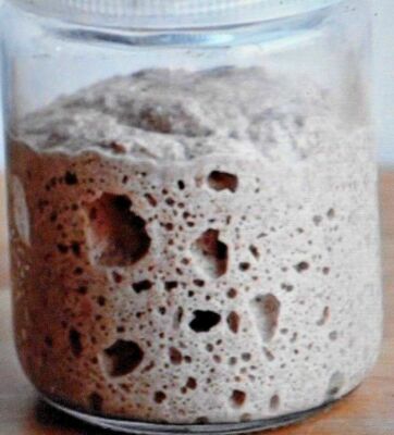 San Francisco SOURDOUGH live YEAST Purely Organic wharf FRESH BATCH MONTHLY