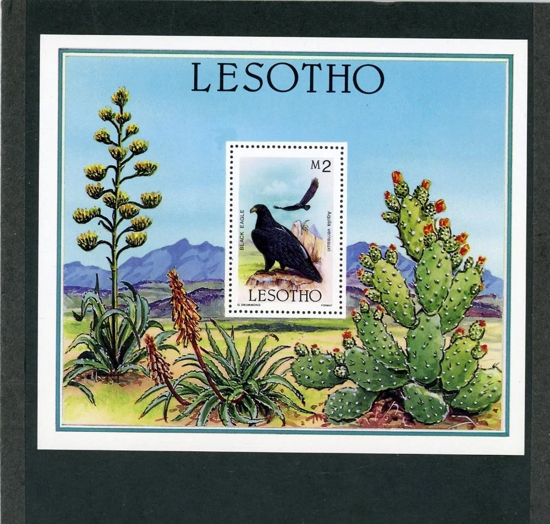Prophila Collection Swasiland 300 Diversi Francobolli