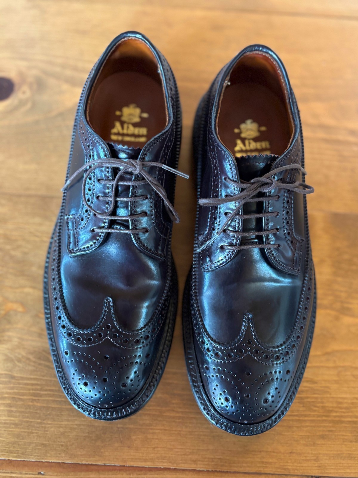 Alden 975 Color 8 Shell Cordovan Long Wing Blucher