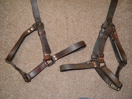 Pair Of Antique Military Railway Heavy/Draft Horse English Leather Head Collars - Picture 2 of 12