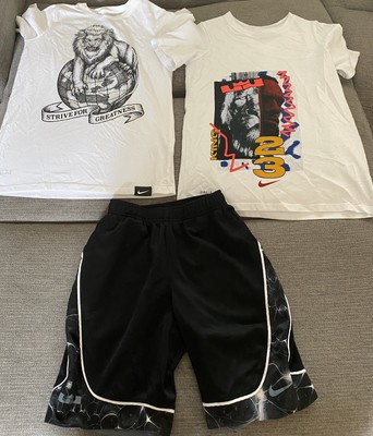 youth lebron shorts