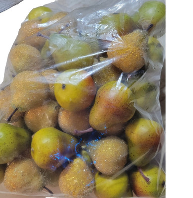 Lg Gallon Bag of Faux Sugared Pears and Plain 2x2 Inches Yellow Green Fall Decor