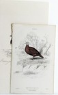 Photo 4/9