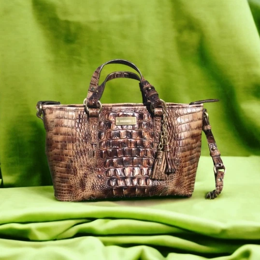 Ebay store brahmin purses