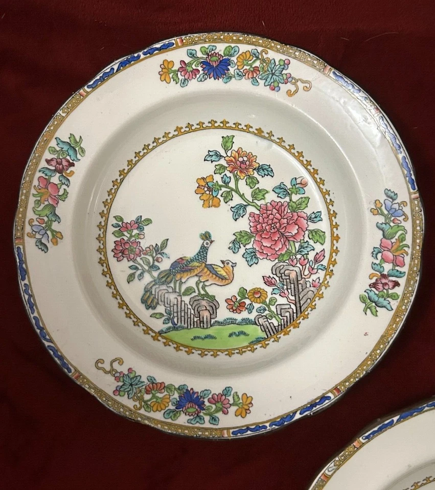 Antique Spode PEACOCKS  Set of Two Soup Plates Black Stamp England Circa 19th C - Image 3 of 4