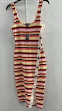NWT Express Women's Size XS Multicolor Striped Dress