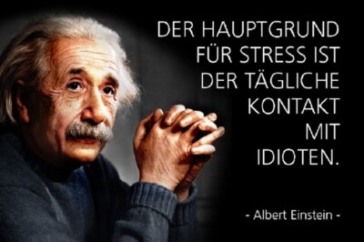 Top-Schilder, versch. Größen, Albert EINSTEIN, Kontakt mit Idioten, neu & ovp