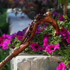 Lizard Flower Wooden Walking Stick Cane Pretty wooden walking stick cane