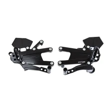 Driven Racing TT Rearsets - DRP-740