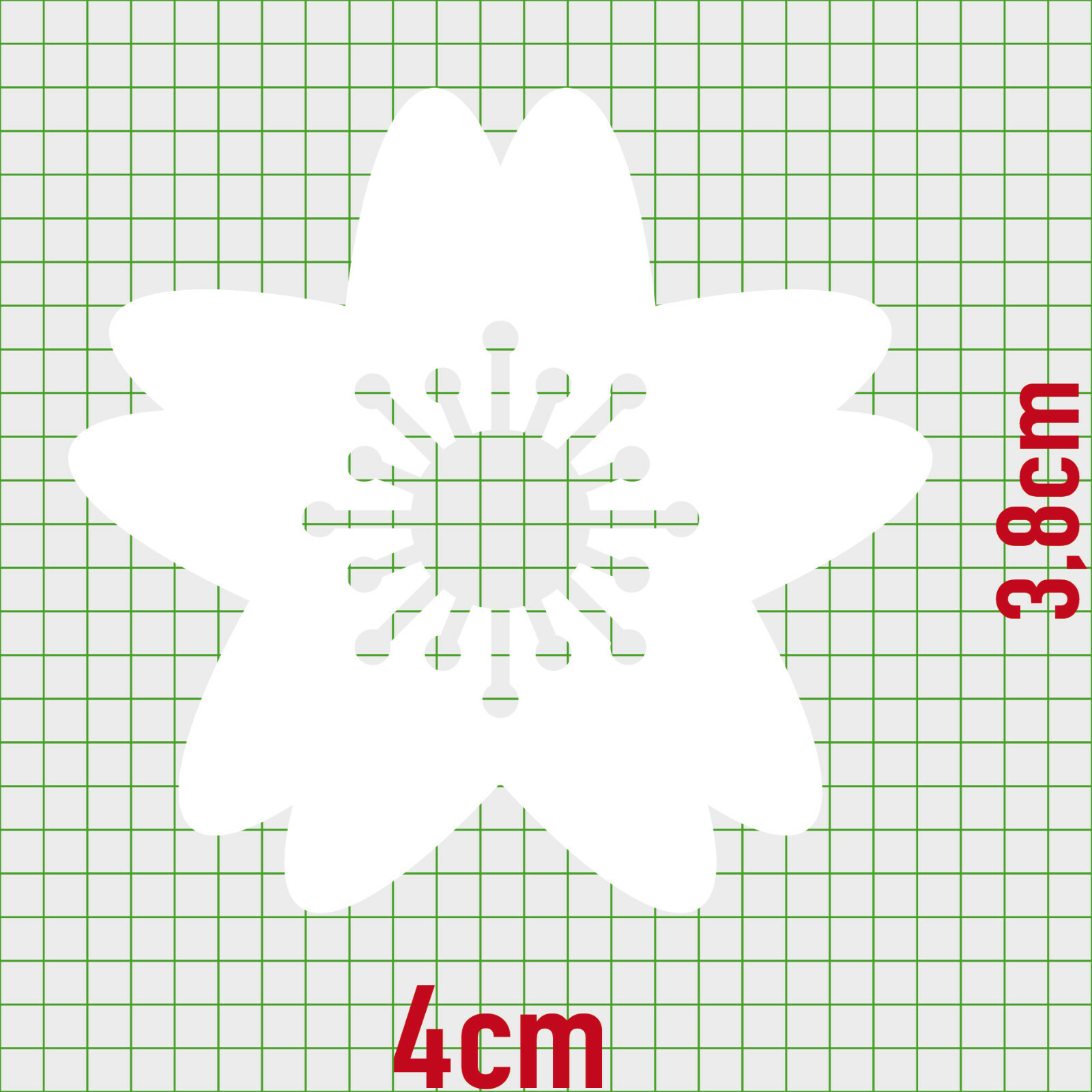 Bild 30 von 33
