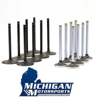 Replacement Valve Set for L99 L76 L77 L92 LY6 L94 L9H L96 LS Heads 821 823 5364