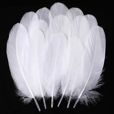 White Craft Goose Feathers 200pcs 57inch White Feathers for DIY Crafts Dream...