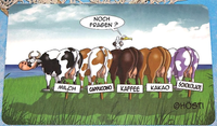 FrüHstüCksbrettchen Brettchen Schneidbrett 5 KüHe - Noch Fragen? HöSti Comic