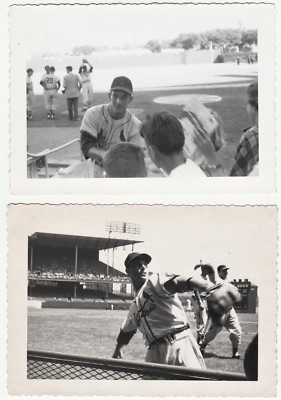 UNIQUE Baseball Photos Del Rice Louis Cardinals Polo Grounds