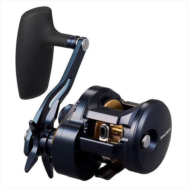 リール 25 SALTIGA 300HL DAIWA Daiwa Baitcasting Reel 25 Saltiga 300H (Right) | eBay