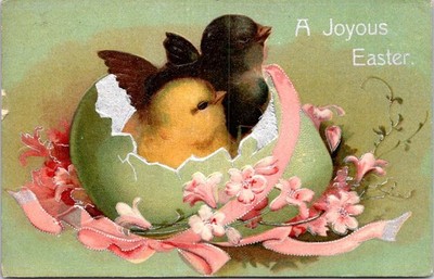 Easter Postcard Black Yellow Hatching Chicks Pink Ribbon Flowers New York 1908