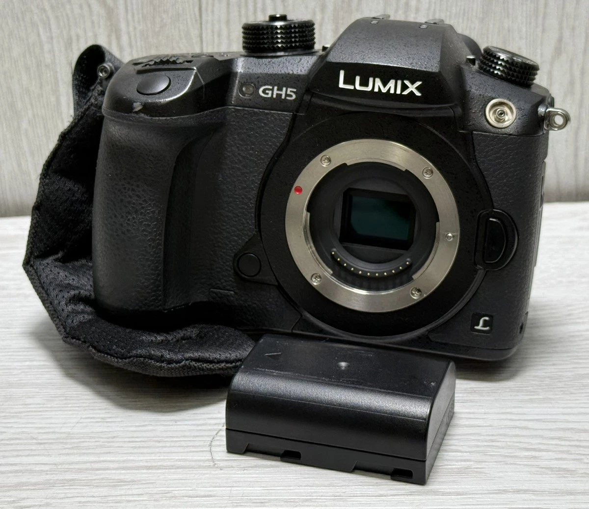 Panasonic Lumix DC-GH5 Panasonic LUMIX Digital Cameras for Sale