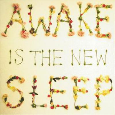 Ben Lee Awake Is the New Sleep (CD) Album (US IMPORT)