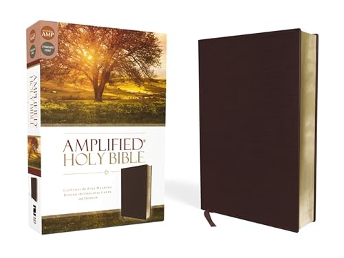 Amplified Holy Bible, Bonded Leather, Burgundy by Zondervan ... - - Image 4