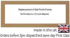 Replacement Photo Frame A To fit 45cm x 15.1cm mount by Photos in a word