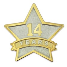 PinMarts 14 Year Service Award Star Corporate...