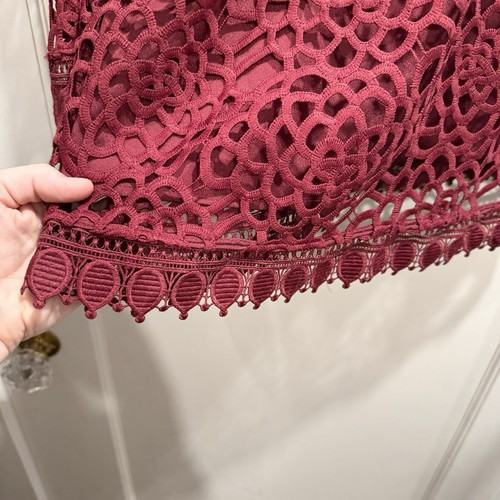 NWT Anthropologie Talulah Lace Mini Dress Red Burgundy Valentines Day Dress Sexy - Picture 7 of 17