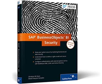 SAP BusinessObjects BI Security: Keep Your BOBJ Safe (Hardcover)