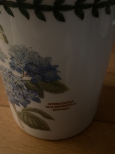 Portmeirion Botanic Garden Hydrangea Porcelain Mug (by Susan Williams-Ellis) - Picture 2 of 7