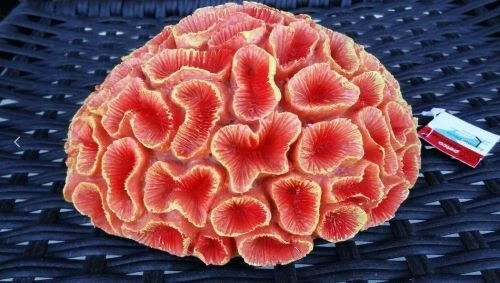 Petco Essentials Aquatic Decor Pess Brain Artificial Coral ~ Aquarium Ornament