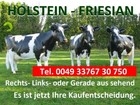 Bild 17 von 24
