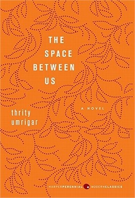 The Space Between Us (Paperback or Softback)