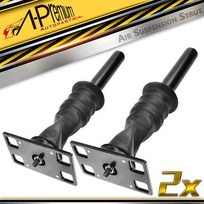 2x Air Strut Assembly w/Bracket Rear for International Harvester ProStar 08-17