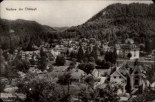 RPPC Vedere din Olanesti vintage postcard x376