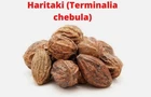 Haritaki Terminalia Chebula Indian Whole Herb Chebulic Myrobalan Harad 100g Pods