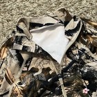 Foto 2 di 4